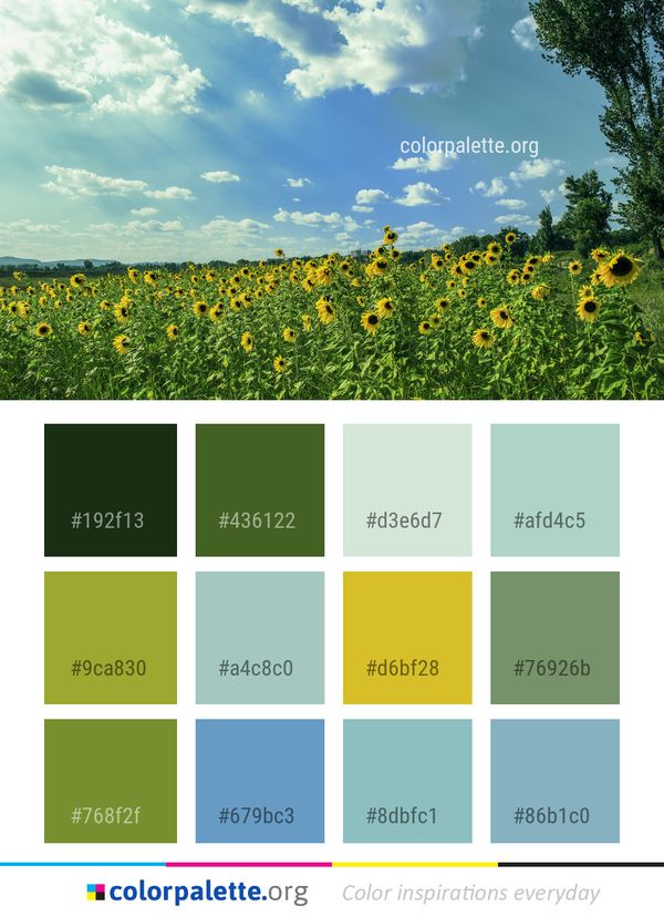 Flower Sky Field Color Palette