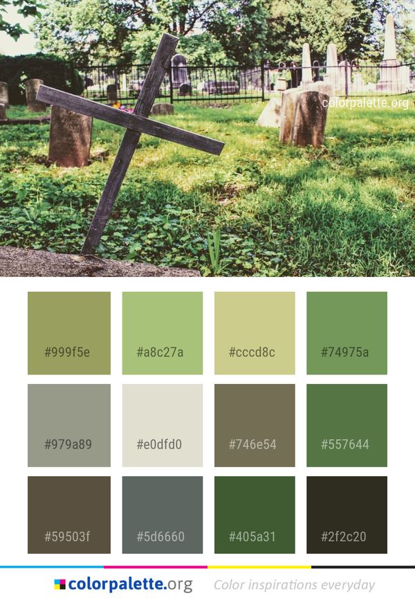 Grass Tree Yard Color Palette