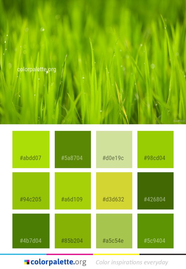 Green Grass Water Color Palette