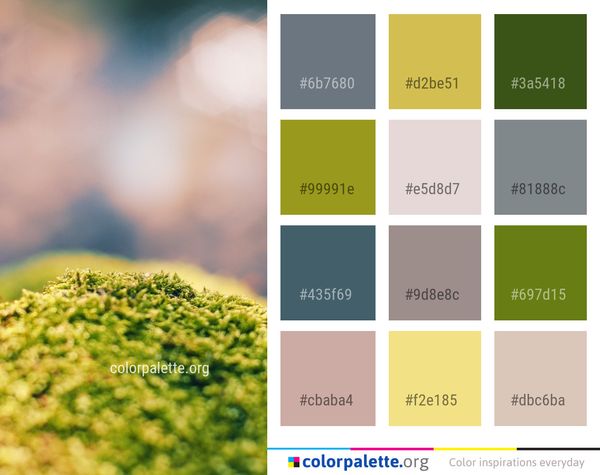 Green Nature Sky Color Palette