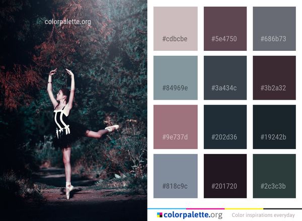Nature Photograph Beauty Color Palette