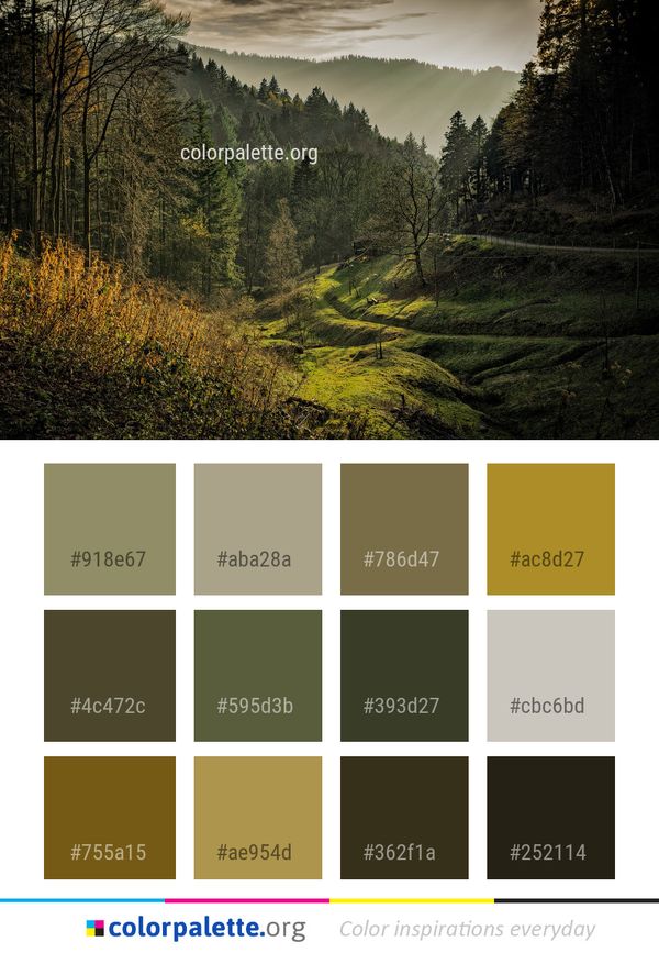 Nature Wilderness Vegetation Color Palette