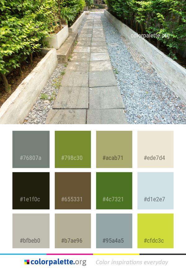 Path Walkway Wall Color Palette