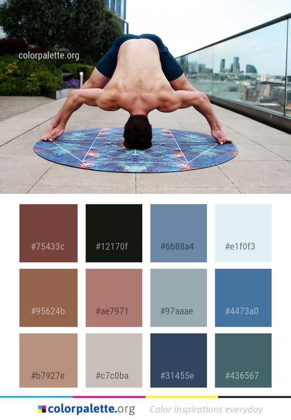 Physical Fitness Shoulder Joint Color Palette