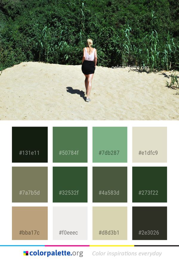 Tree Vacation Trail Color Palette