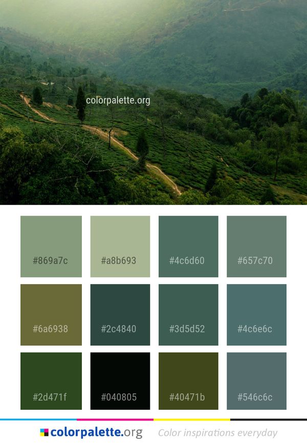 Vegetation Nature Green Color Palette