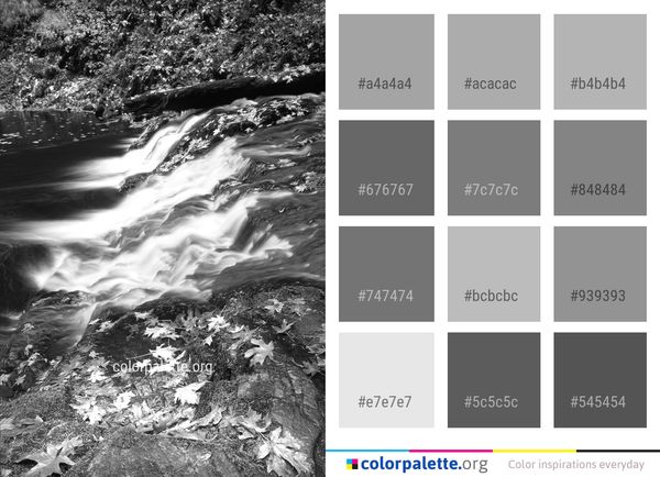 Water Black And White Nature Color Palette