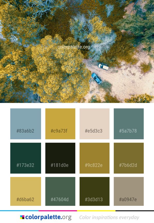 Yellow Vegetation Tree Color Palette