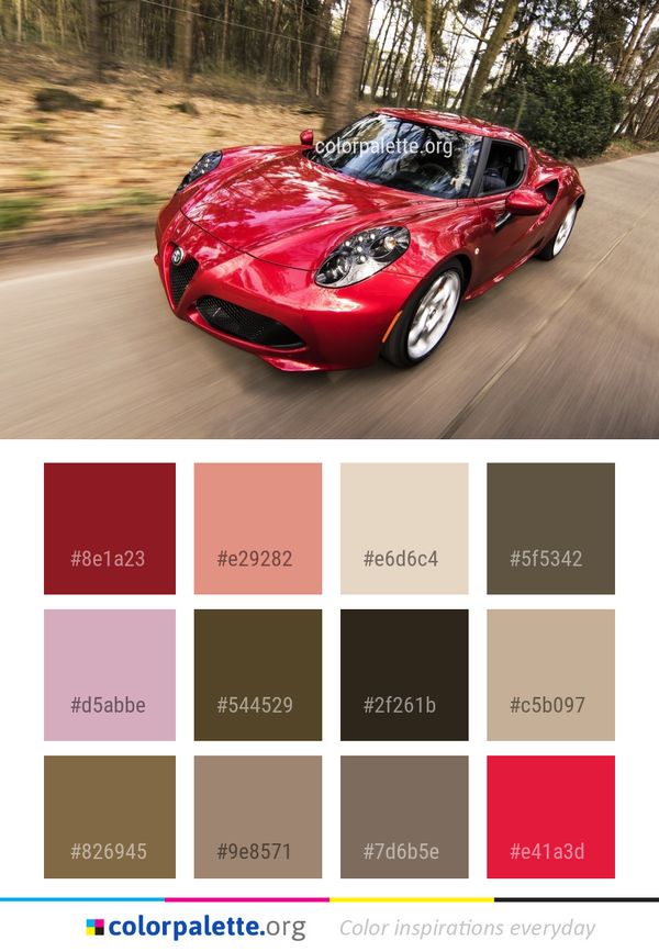 Car Land Vehicle Color Palette