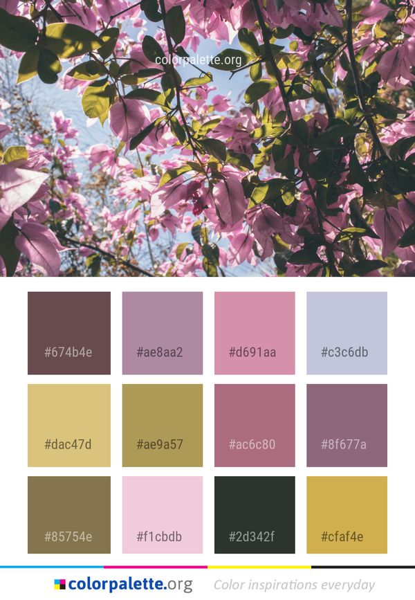 Flower Plant Pink Color Palette
