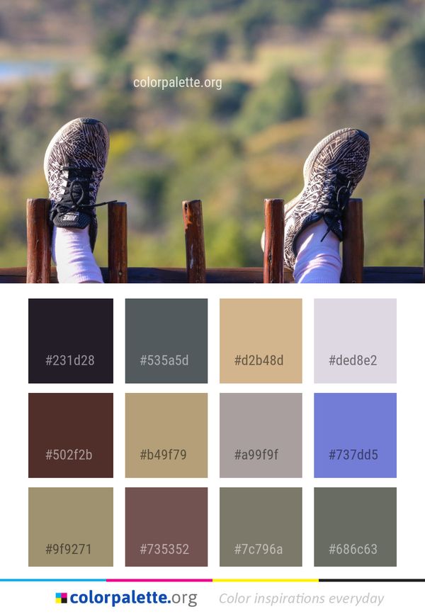 Grass Sky Sunlight Color Palette