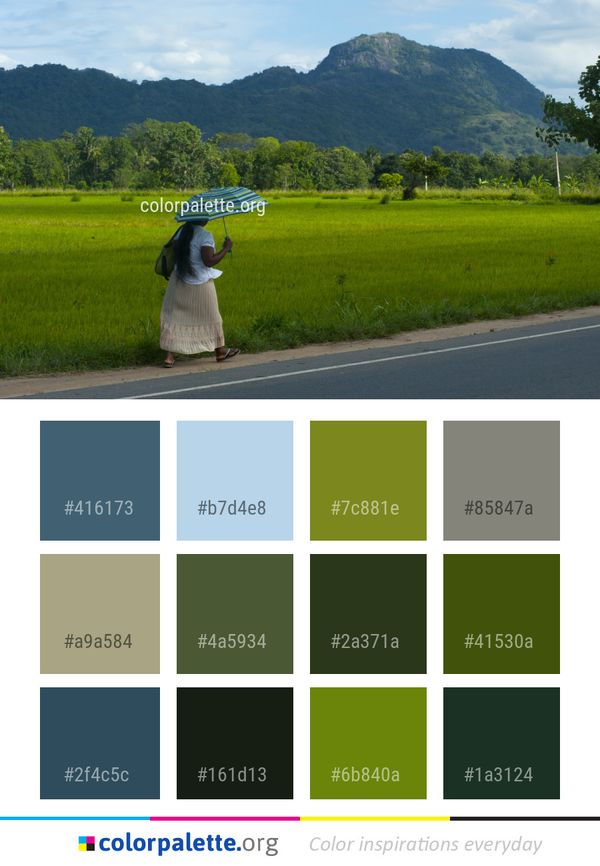 Green Grassland Road Color Palette