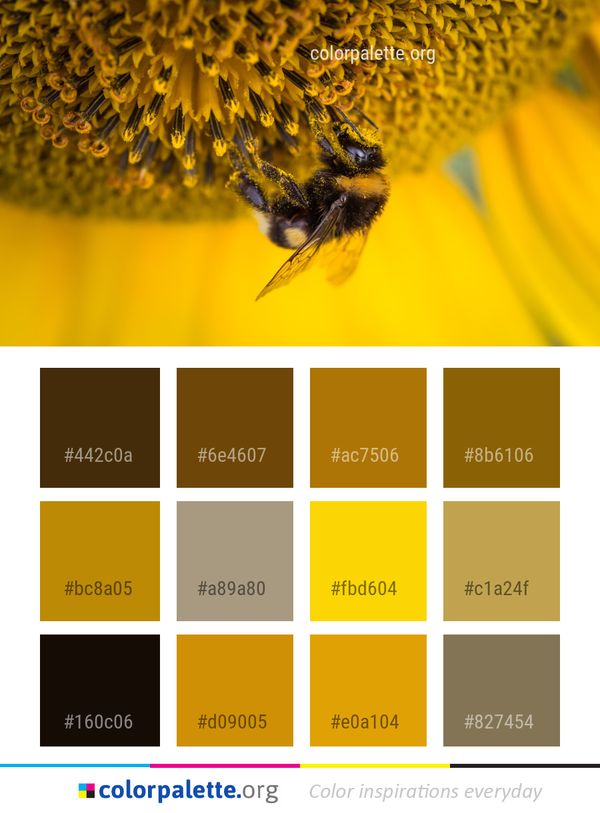 Honey Bee Yellow Color Palette