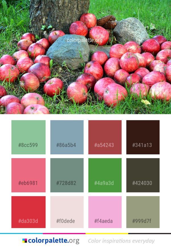 Local Food Natural Foods Fruit Color Palette