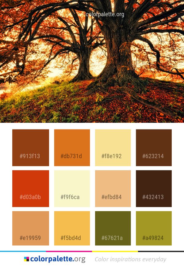 Nature Tree Leaf Color Palette
