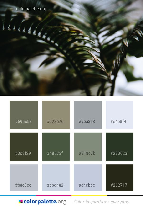 Plant Leaf Tree Color Palette