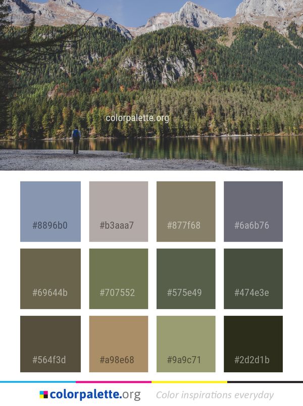 Reflection Nature Wilderness Color Palette