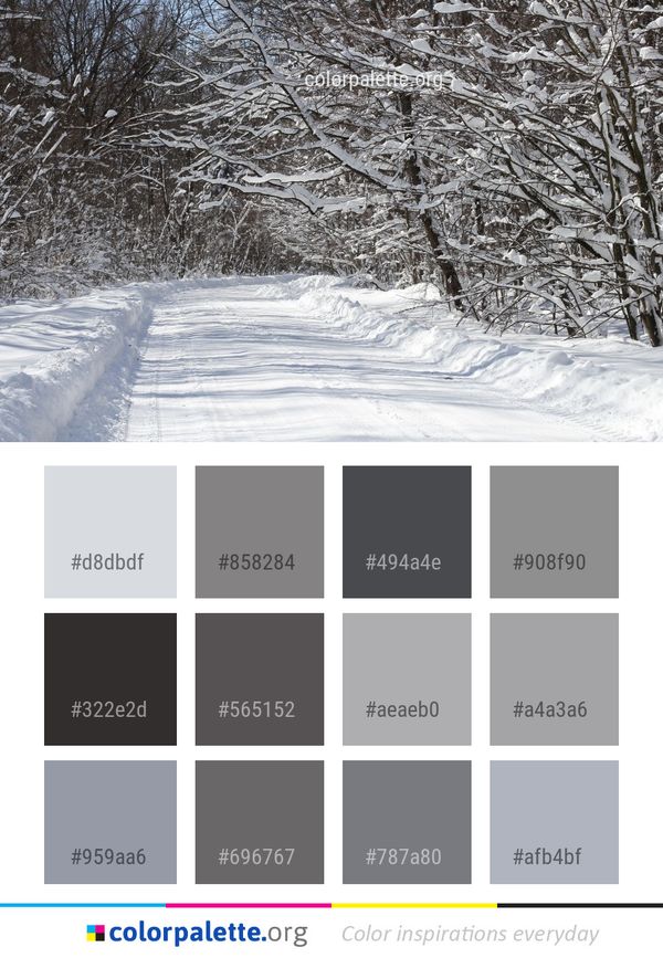 Snow Winter Tree Color Palette