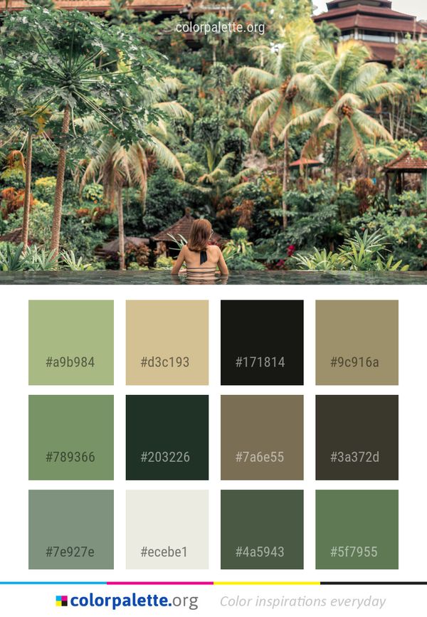 Vegetation Plant Tree Color Palette