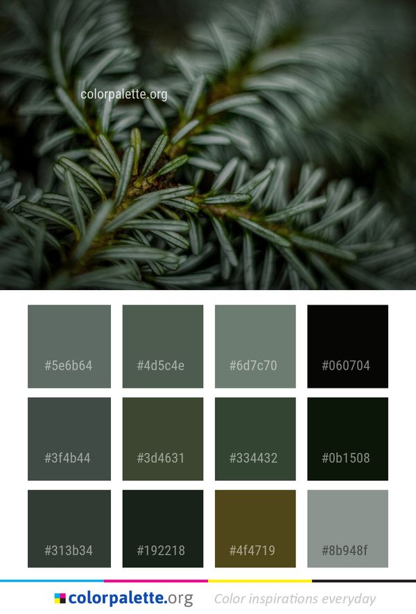 Vegetation Tree Leaf Color Palette
