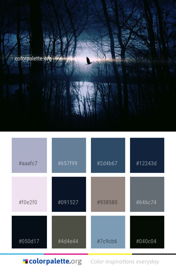 Water Nature Tree Color Palette