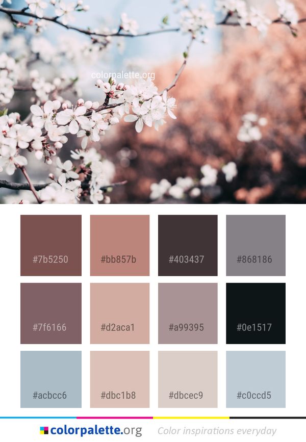 Blossom Flower Pink Color Palette