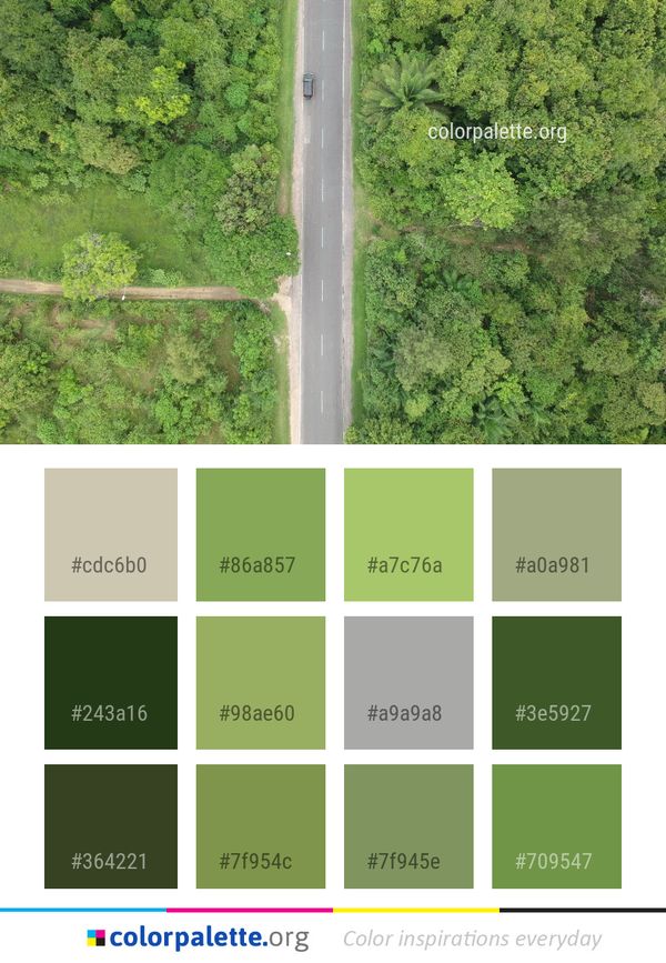 Green Vegetation Nature Reserve Color Palette