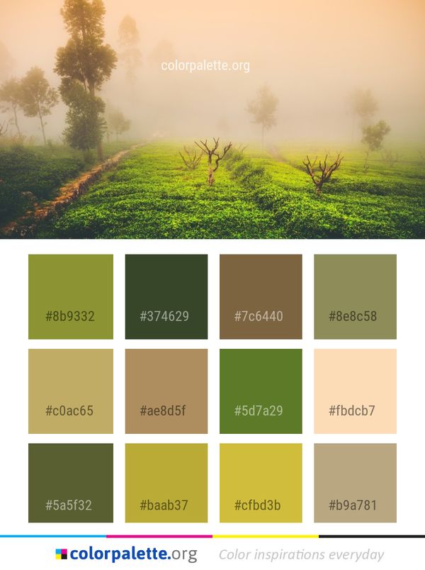 Mist Morning Vegetation Color Palette