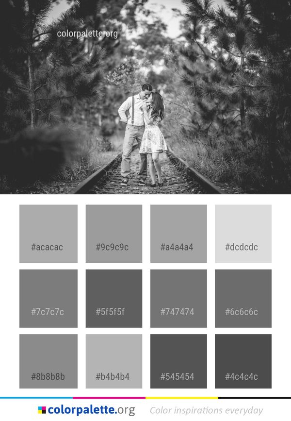 Photograph Black And White Color Palette