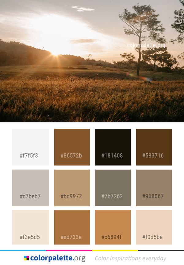 Sky Field Morning Color Palette