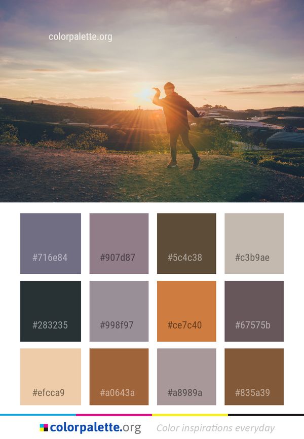 Sky Photograph Sunrise Color Palette