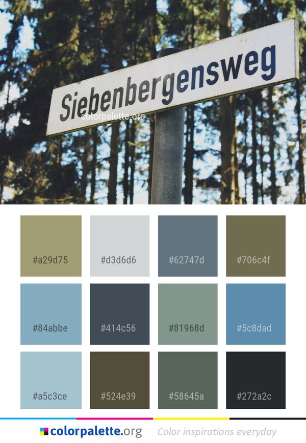 Tree Street Sign Woody Plant Color Palette