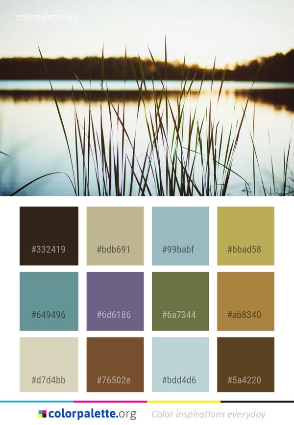 Water Reflection Grass Color Palette