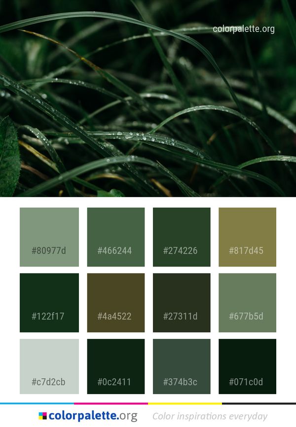 Water Vegetation Grass Color Palette