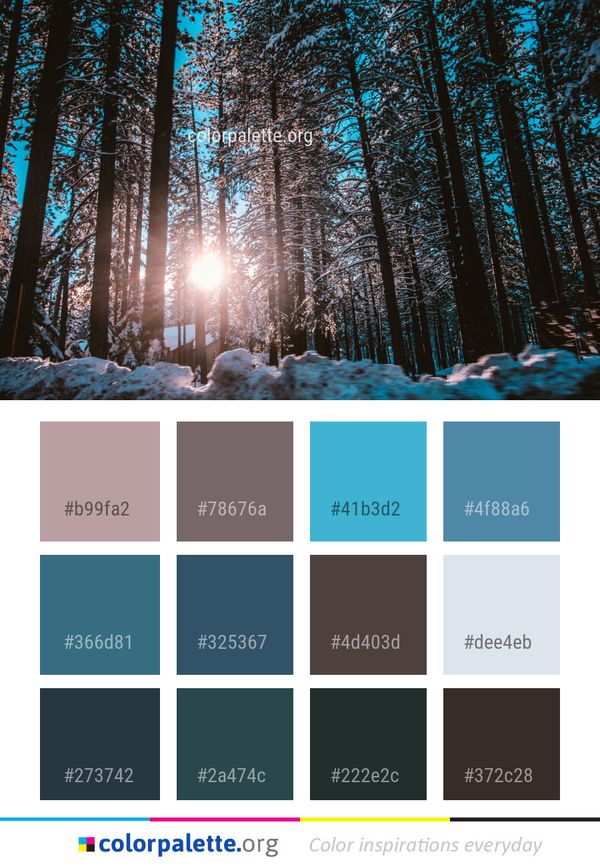 Winter Nature Tree Color Palette