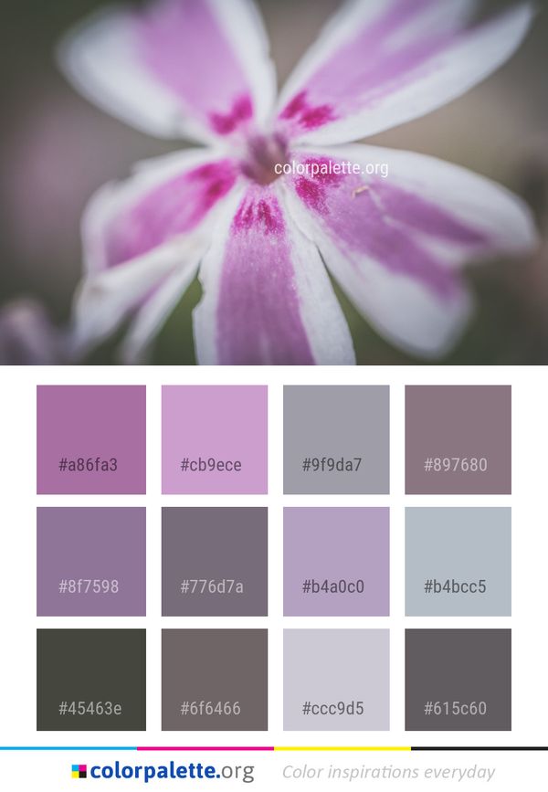 Flower Flora Pink Color Palette