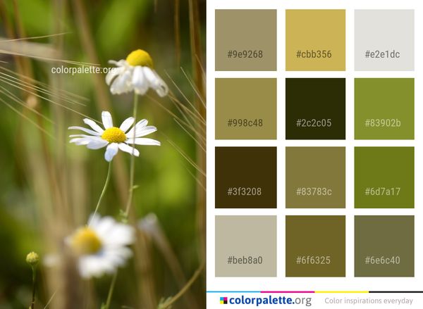 Flower Flora Yellow Color Palette