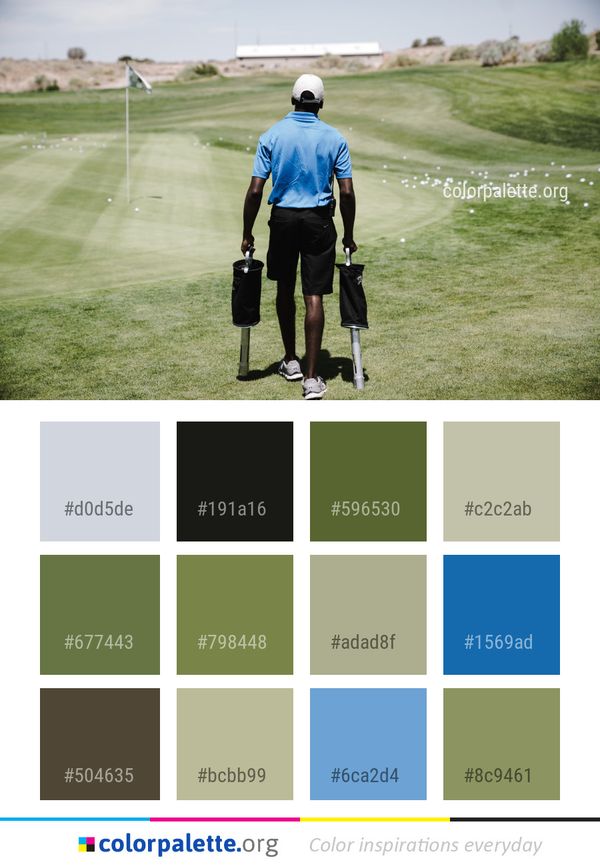 Golfer Golf Grass Color Palette