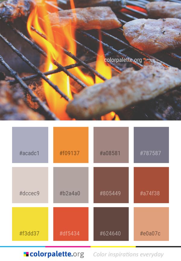 Grilling Barbecue Meat Color Palette