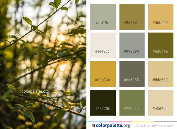 Leaf Branch Flora Color Palette