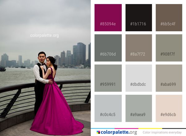 Photograph Pink Dress Color Palette