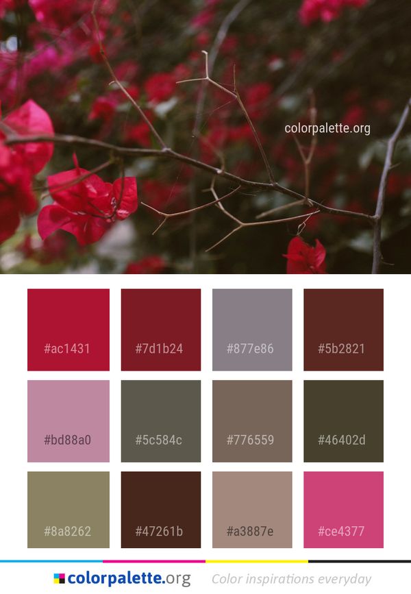 Red Flora Leaf Color Palette