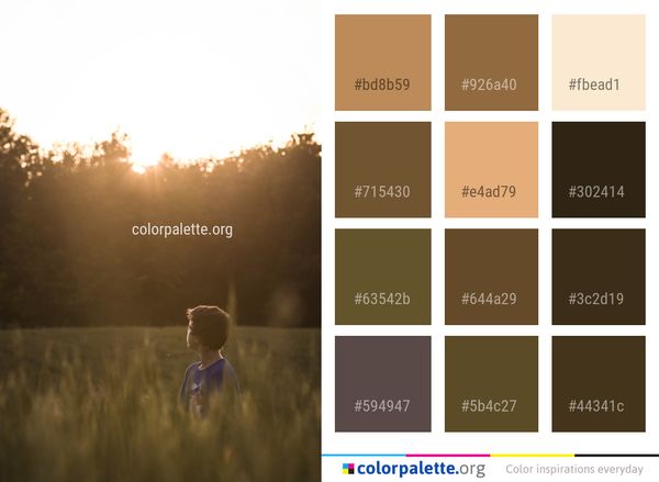 Sky Sun Field Color Palette