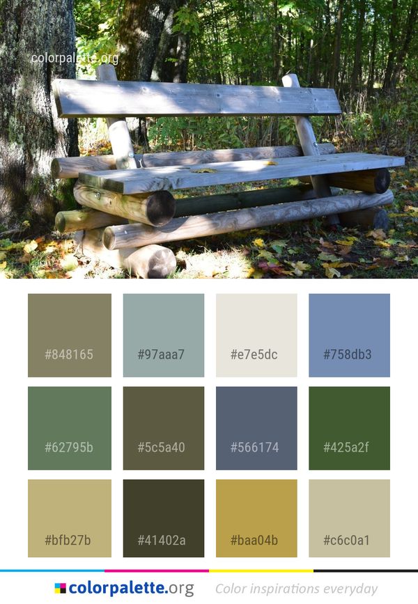 Bench Furniture Tree Color Palette