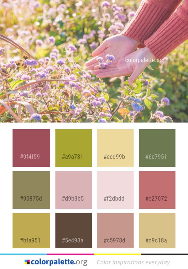 Lavender Lilac Flower Color Palette