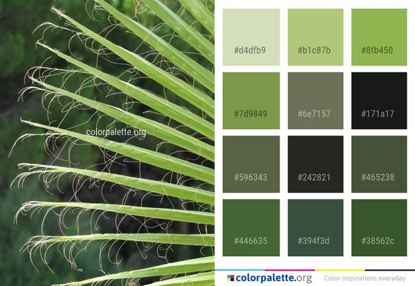 Plant Leaf Vegetation Color Palette