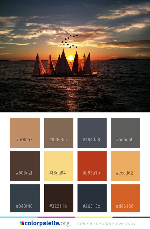 Sea Horizon Sky Color Palette