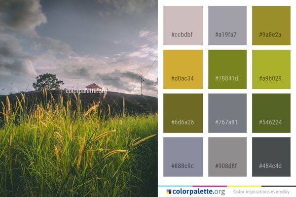 Sky Grass Grassland Color Palette