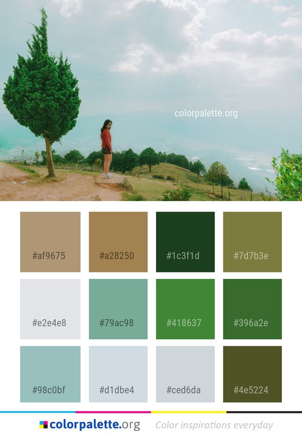 Sky Green Nature Color Palette