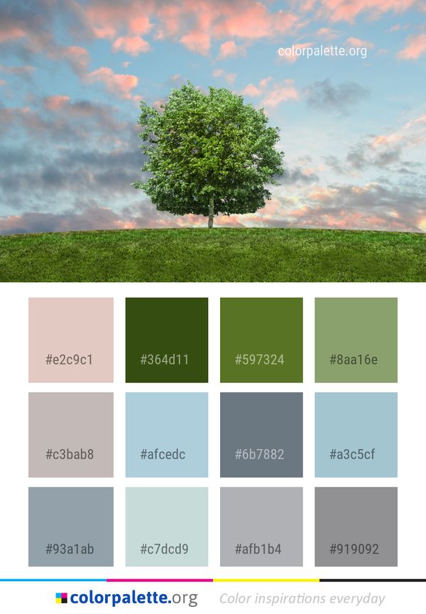 Sky Tree Nature Color Palette